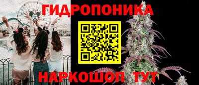 молекула духа Гусиноозёрск