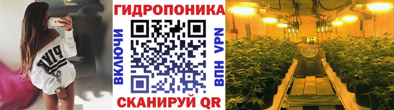Канабис планчик  как найти закладки  omg зеркало  Нефтеюганск 